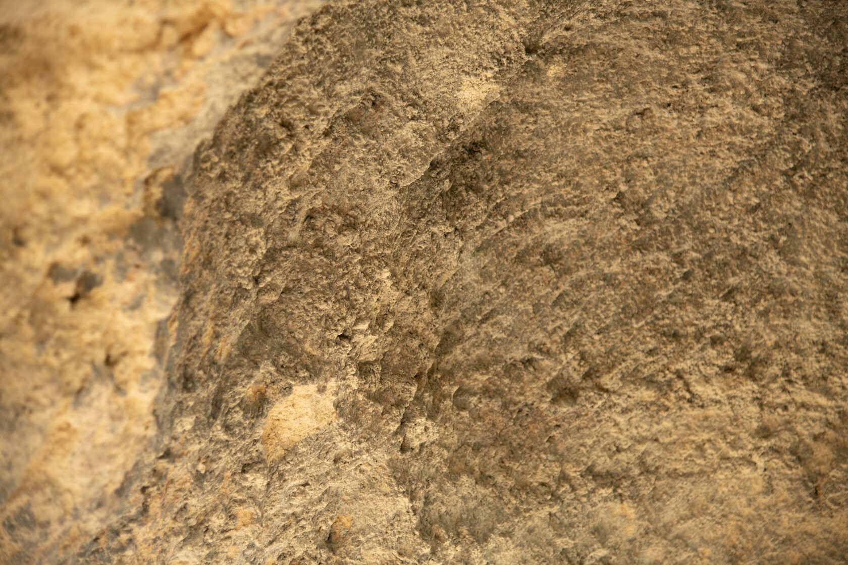 Textura natural de cortiça