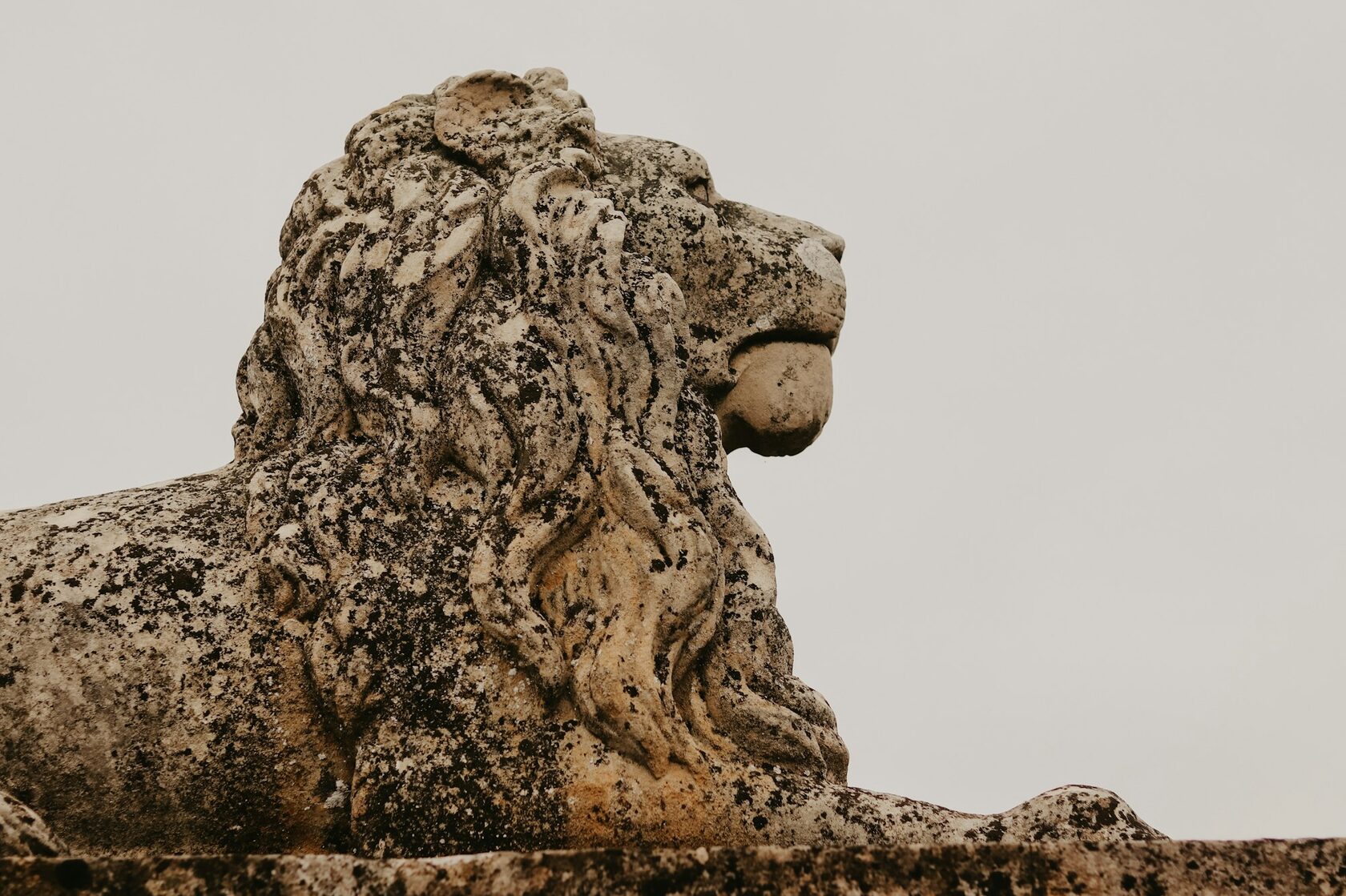 Figura decorativa de leão em cortiça